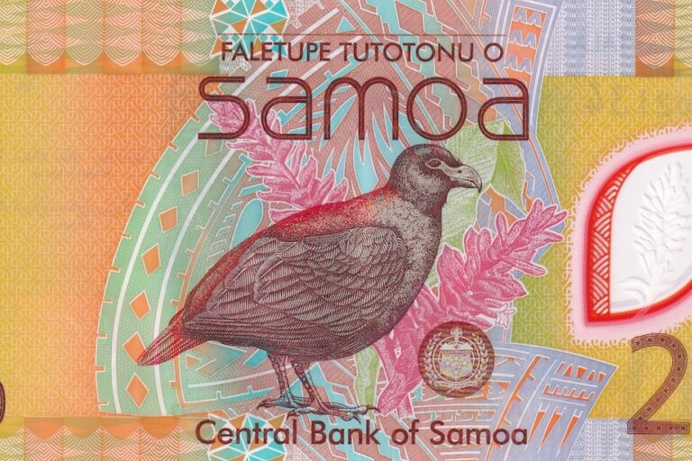 The critically endangered 'little dodo' is an icon in Samoa and adorns coins and currency like this 20 tala note. 
