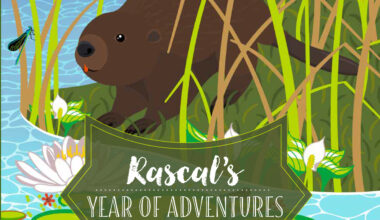New ‘Wildlife Adventure’ book settles in a beaver lodge