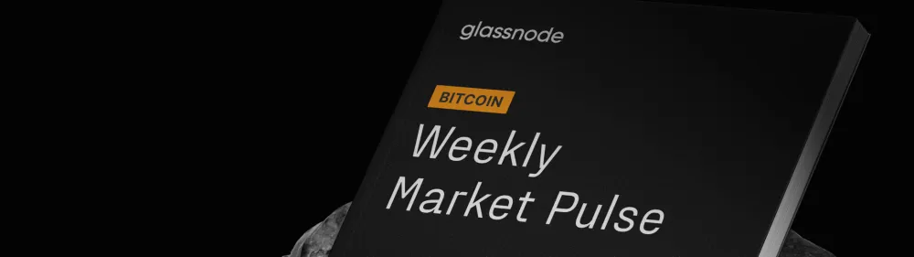 BTC Market Pulse: Week 40