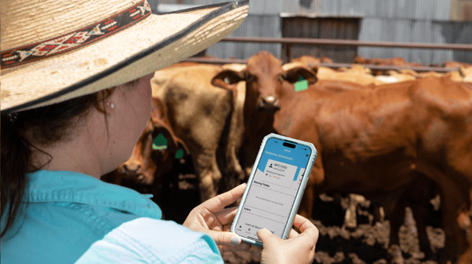 Weekly genetics review: Using the right tools to compare bulls' ‘CVs’