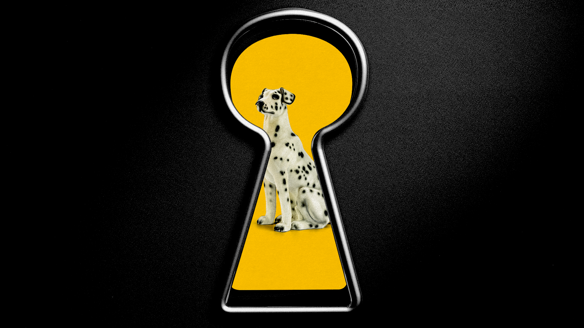 A dalmatian seen through a keyhole