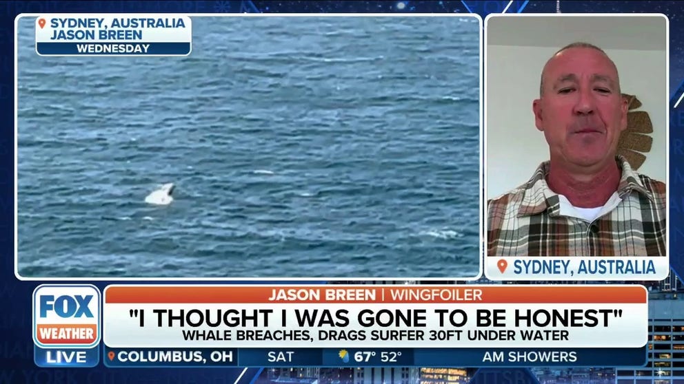 The surfer said the whale dragged him nearly 30 feet underwater.
