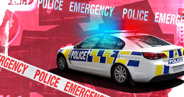 Two more charged over 'altercation' at Akl carpark where gun was fired