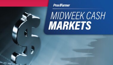 Midweek Cash Markets | Corn, soy basis continue to trend weaker than average