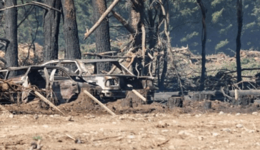 Vintage cars destroyed in blaze