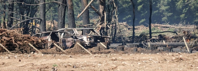 Vintage cars destroyed in blaze