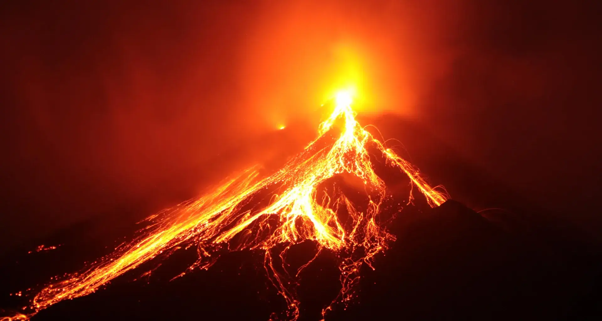 A volcano erased an island’s plants. Their DNA revealed how life starts over