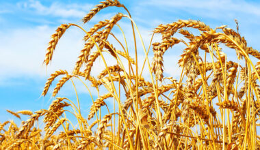 Market Trends Report – September & October 2025