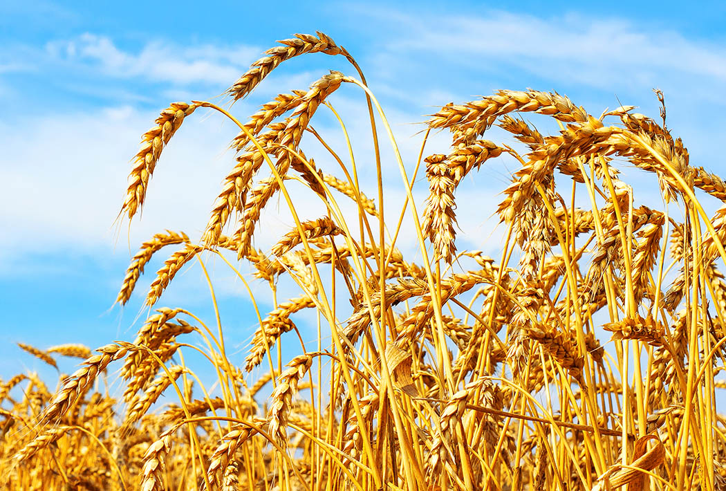 Market Trends Report – September & October 2025