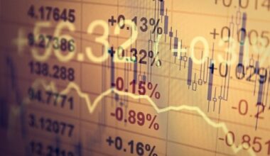 NZ yields expected to rise