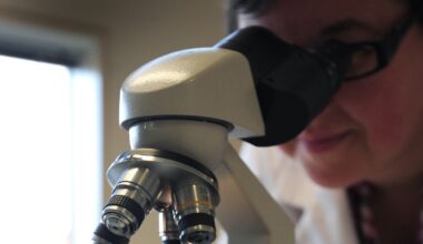 Advanced genetic tests could predict patients at risk of blood cancer relapse