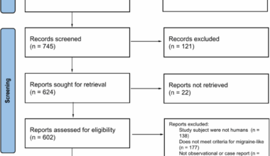 Migraine-like headaches: a systematic review of secondary etiologies, clinical features and therapeutic patterns (1977–2024) | The Journal of Headache and Pain