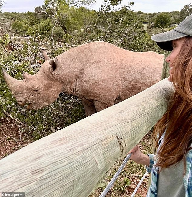 She left Hollywood years ago to live in South Africa instead, where she runs a charity dedicated to wildlife conservation
