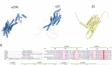 Evolutionary diversification and expressional profile of adrenergic receptors in the Pacific oyster Crassostrea gigas | BMC Genomics