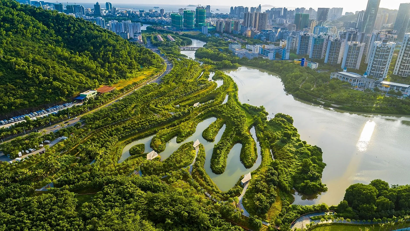 an aerial image of a pond, wetlands and green space next to high rise buildings, an example of the sponge cities idea