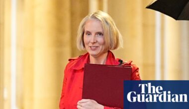 Planning bill could risk UK’s trade deal with EU, say sources | Environment