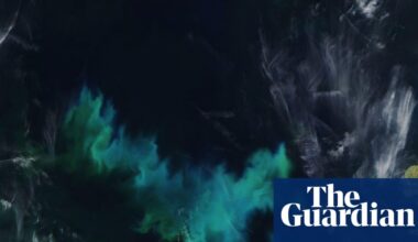 Marine heatwaves to become more frequent off UK and Irish coasts, experts say | Oceans