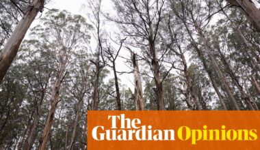Biodiversity is in catastrophic decline. Here are three ways to ensure Australia’s conservation law actually works | Atticus Fleming and Andrew Macintosh