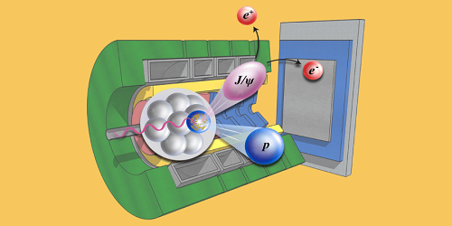 Peering into Protons