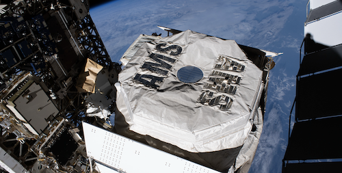 Lithium Cosmic Rays Are Not Primordial