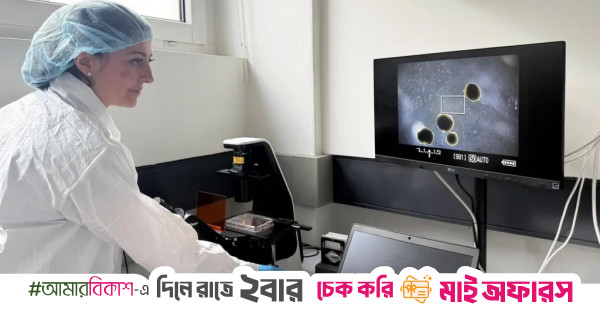 From sci-fi to science: Scientists grow mini brains to power future computers