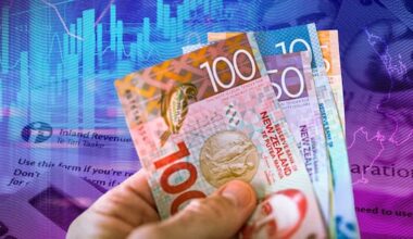 Why this part of NZ's tax system leads the world