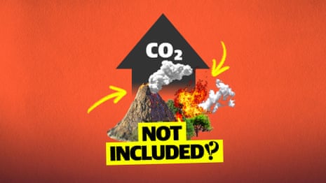 How countries cheat their carbon targets – video