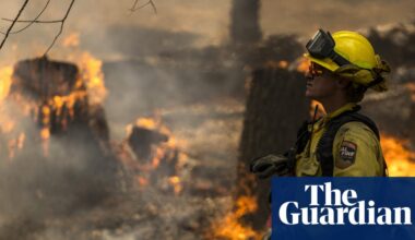 Carbon offsets fail to cut global heating due to ‘intractable’ systemic problems, study says | Carbon offsetting