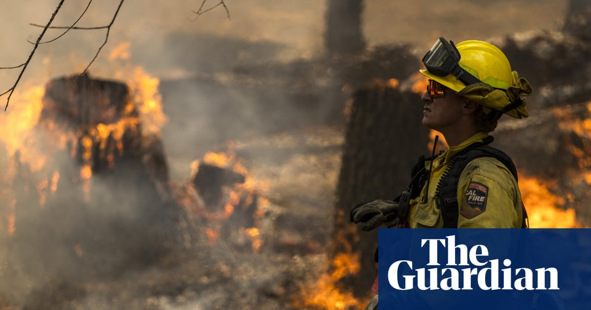 Carbon offsets fail to cut global heating due to ‘intractable’ systemic problems, study says | Carbon offsetting