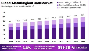 Metallurgical Coal Market Size
