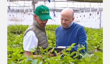 Varietal improvement and genetic differentiation translates into commercial opportunities