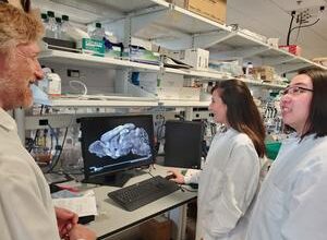 Scientists fix genetic defect in mice tied to brain disorders that include autism and epilepsy