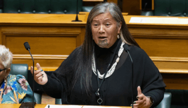 Te Pāti Māori releases explosive allegations against MP