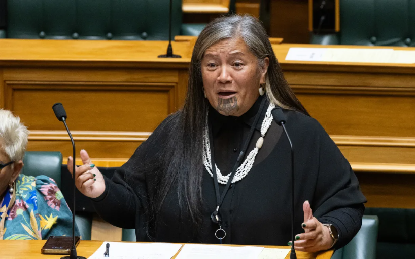 Te Pāti Māori releases explosive allegations against MP