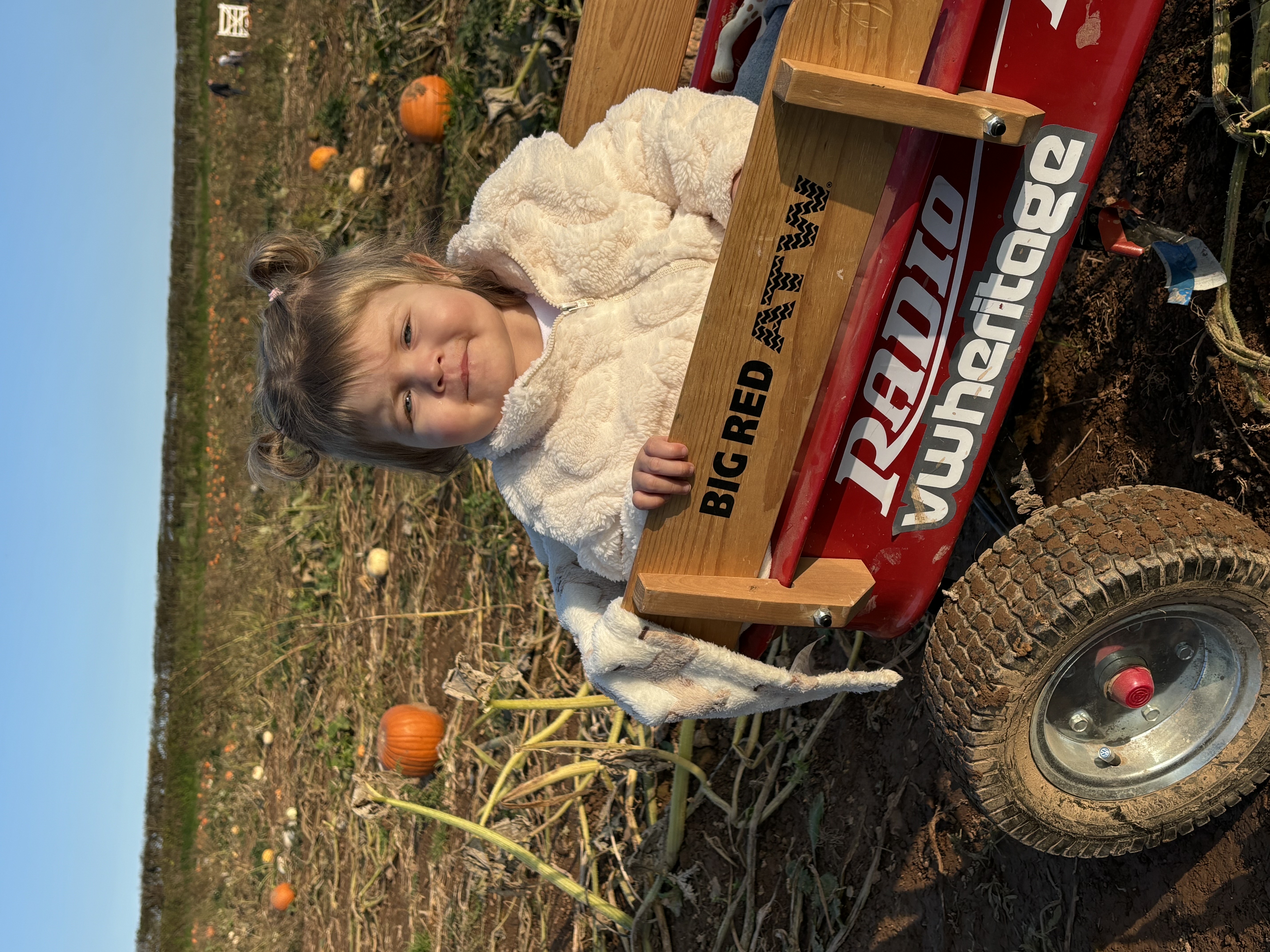 Darla-May in a pumpkin patch