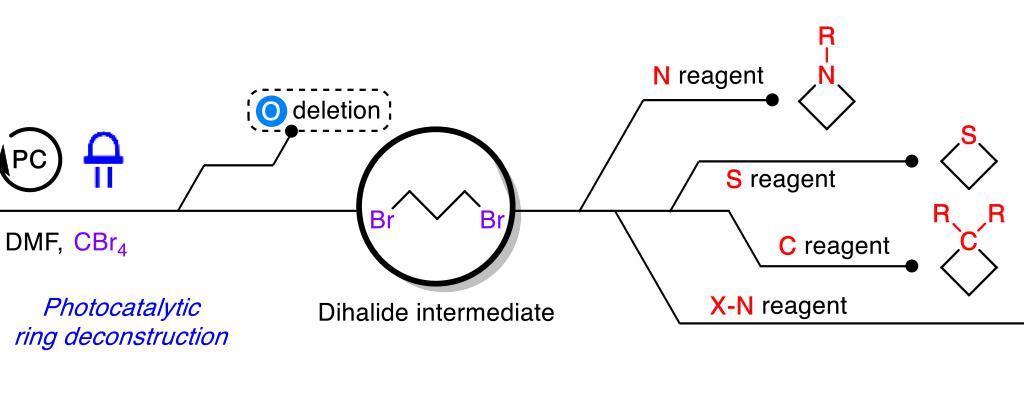 ‘Stimulating discovery’ leads to strategy to swap oxygen in saturated rings | Research