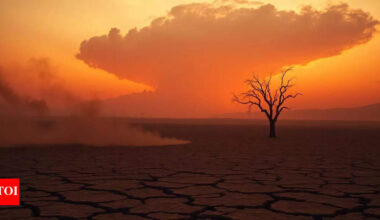 Levels of carbon dioxide reached new highs last year, reporting largest single year increase since 1957: WMO