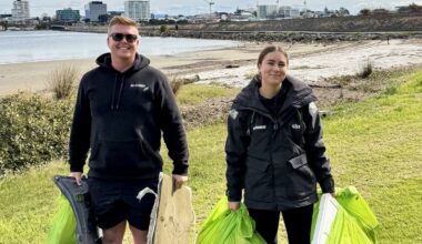 SunLive - The never-ending tide of tyres in Tauranga harbour