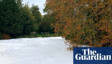 Dead fish found on River Thet where large stretch of white foam appeared | Norfolk