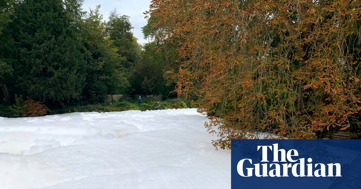 Dead fish found on River Thet where large stretch of white foam appeared | Norfolk
