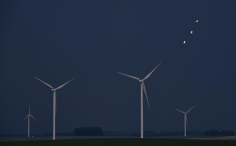 TOPSHOT-URUGUAY-ENERGY-WIND-FARM-FEATURE