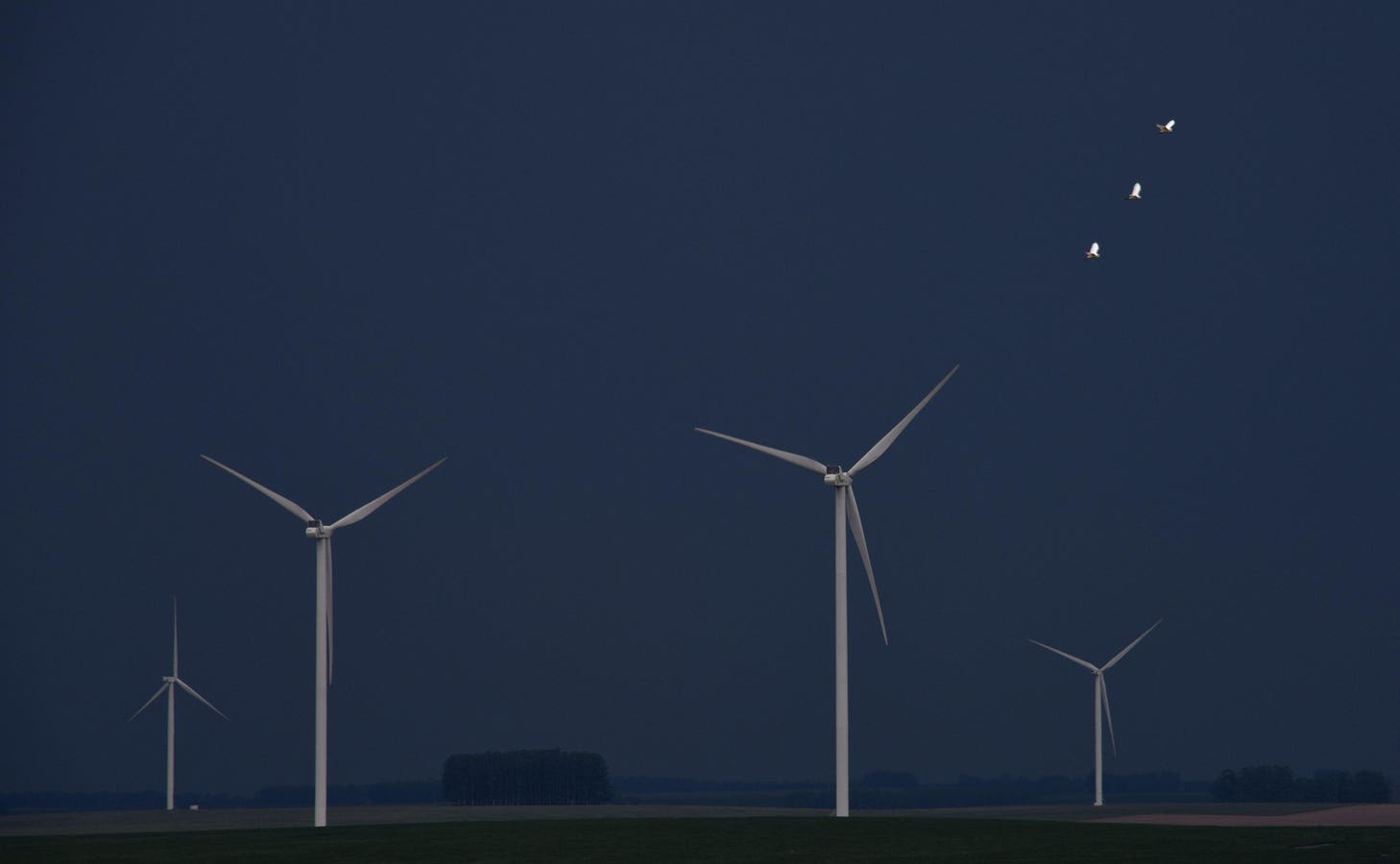 A Small Nation, A Big Lesson For The World