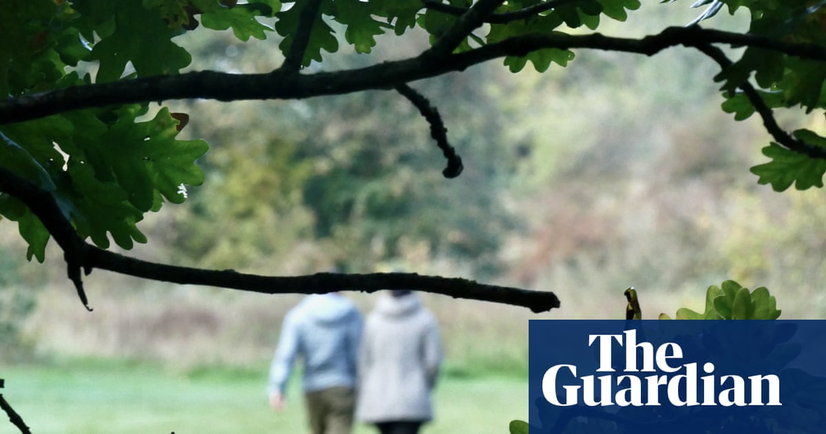 UK campaigners launch bill to give nature legal rights | Environment