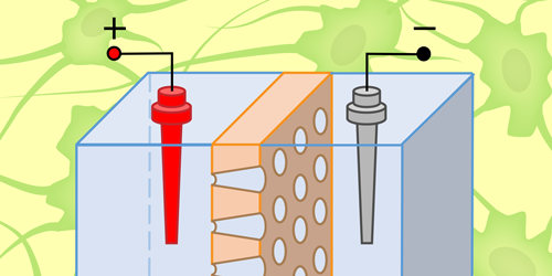 Iontronic Circuits: Building Intelligence in Brine