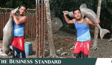 Man arrested after posting video holding endangered dolphin