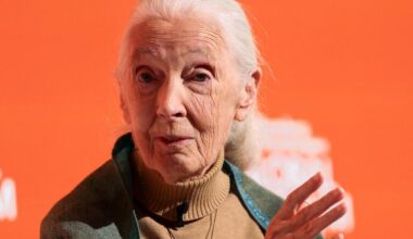 Wildlife advocate, primate expert Jane Goodall dies aged 91