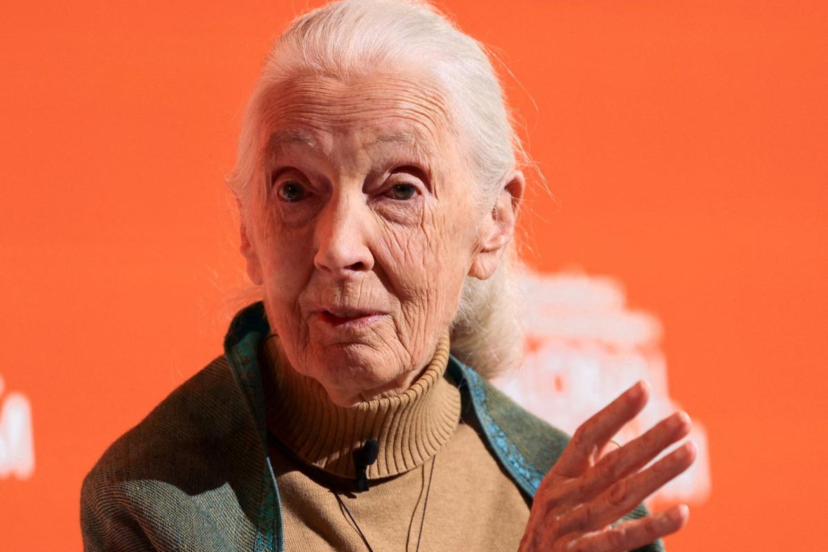 Wildlife advocate, primate expert Jane Goodall dies aged 91