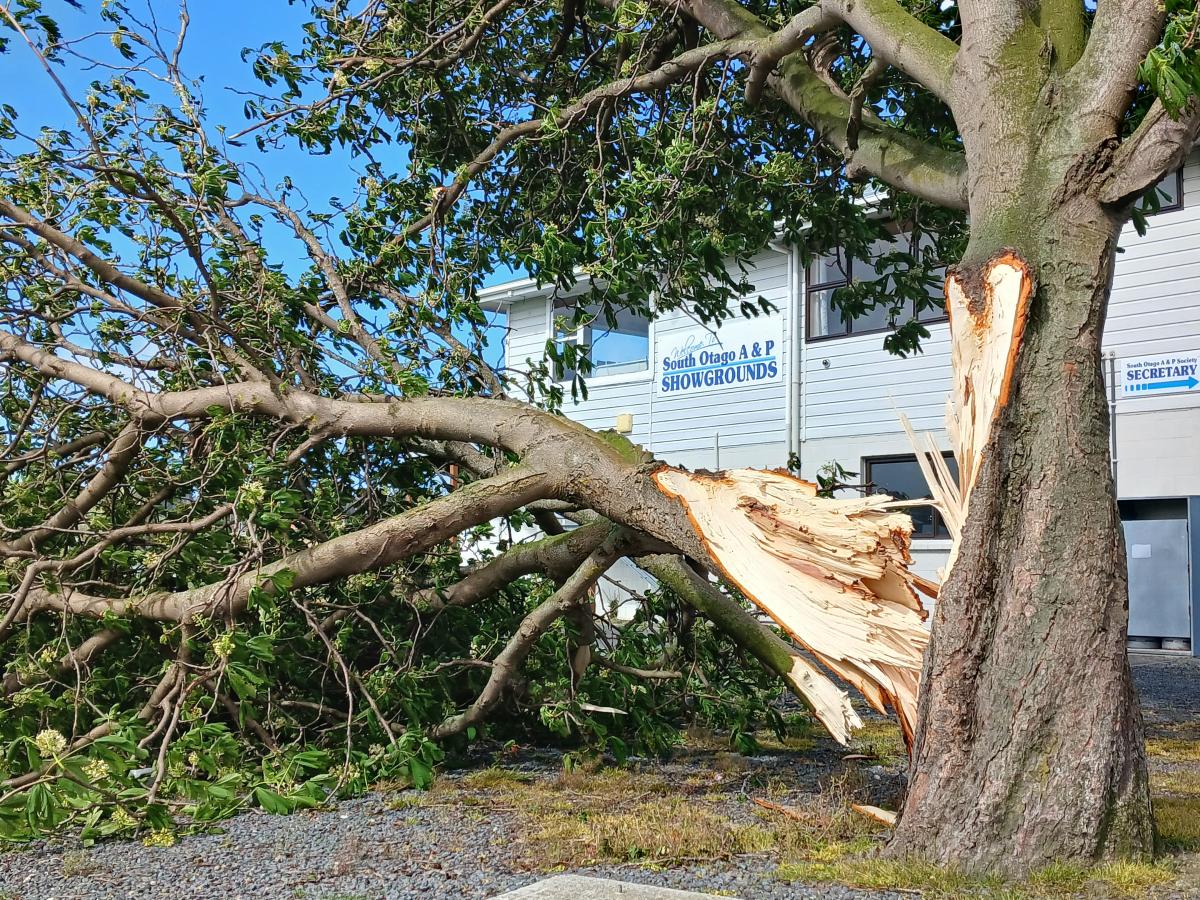 State of emergency declared in Clutha