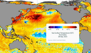 Northeast Pacific endures fourth-largest marine heat wave on record
