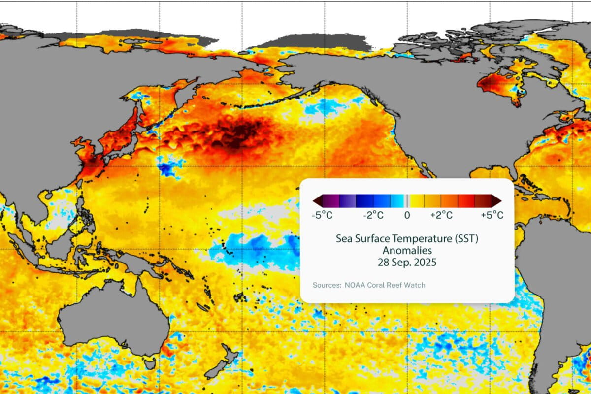 Northeast Pacific endures fourth-largest marine heat wave on record